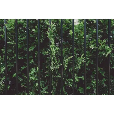 Custom Steel Palisade Fencing